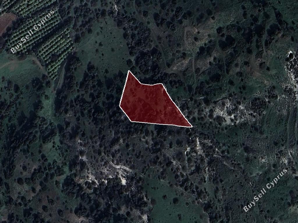 land for sale kallepeia paphos 7533152 image 15597454