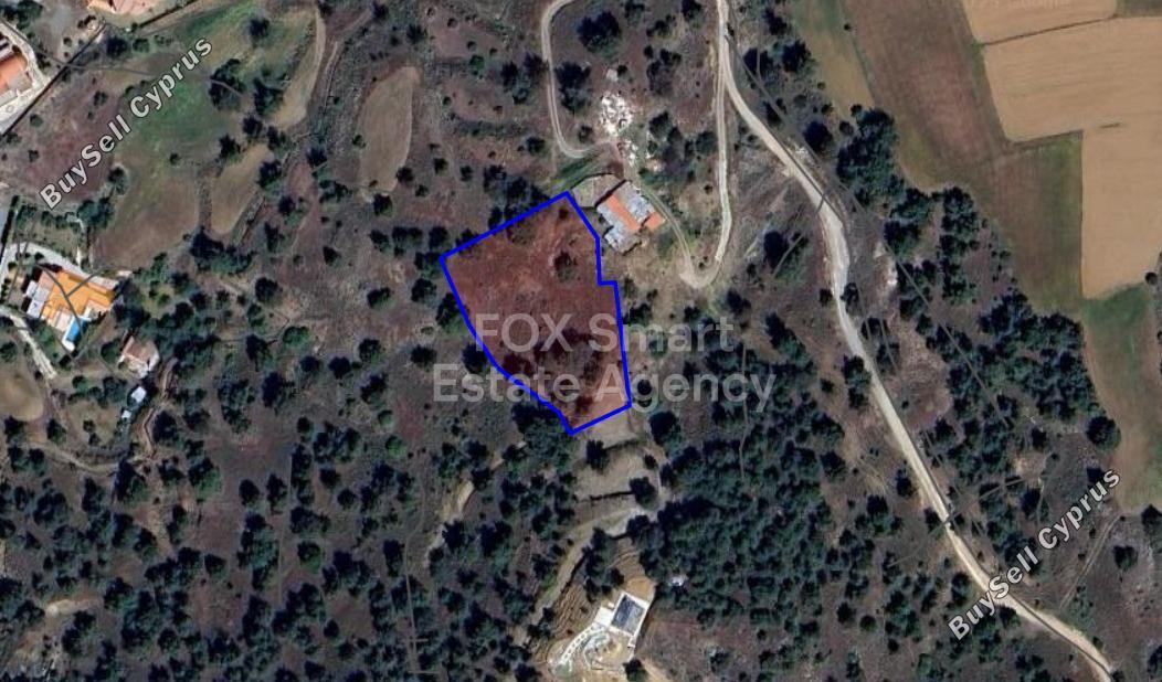 land for sale kalo chorio oreinis nicosia 1754152 image 12688491