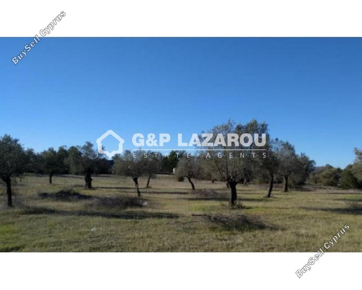 land for sale kornos larnaca 1688152 image 6008976