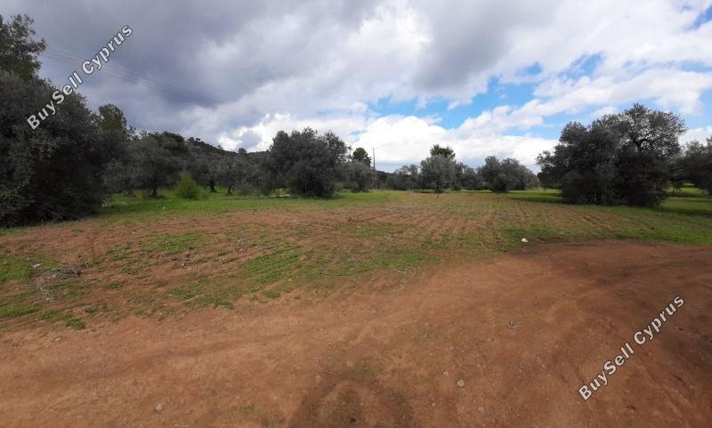 land for sale lythrodontas nicosia 1062152 image 16175840