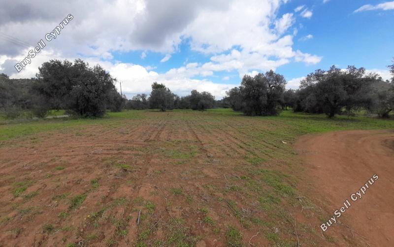 land for sale lythrodontas nicosia 1062152 image 16175842