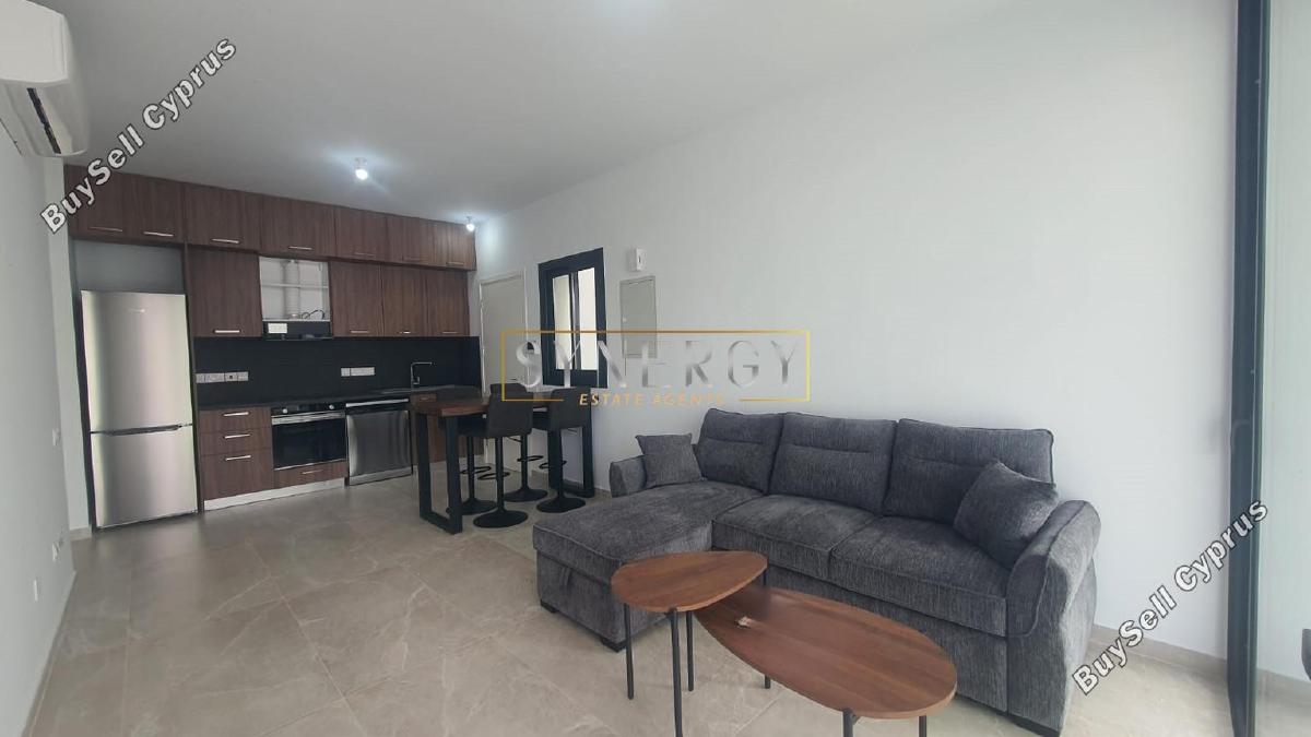 1 bedroom apartment for rent pano lakatamia nicosia 8525252 image 15960960