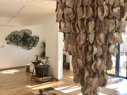 5 bedroom detached house for sale agios tychonas limassol 1932252 image 14919104