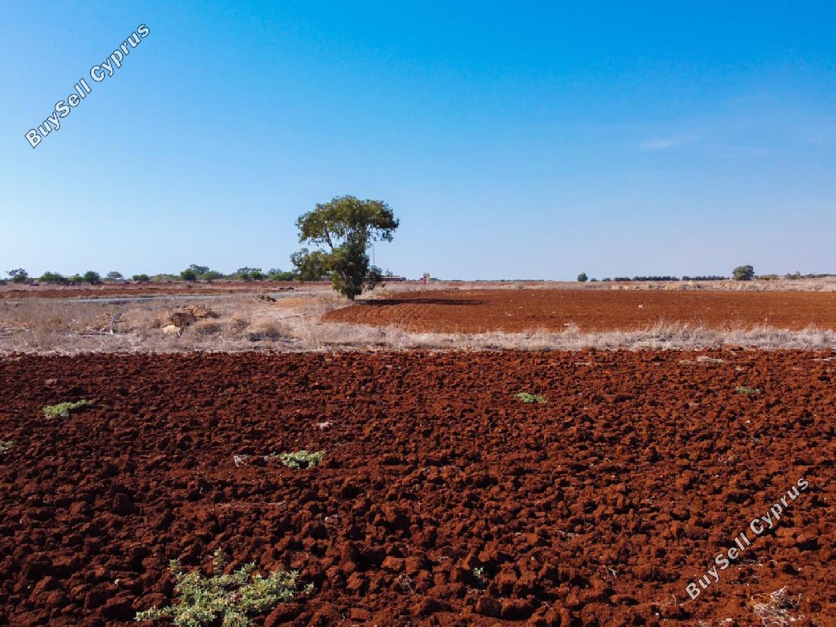 land for sale xylofagou larnaca 1937252 image 16518295