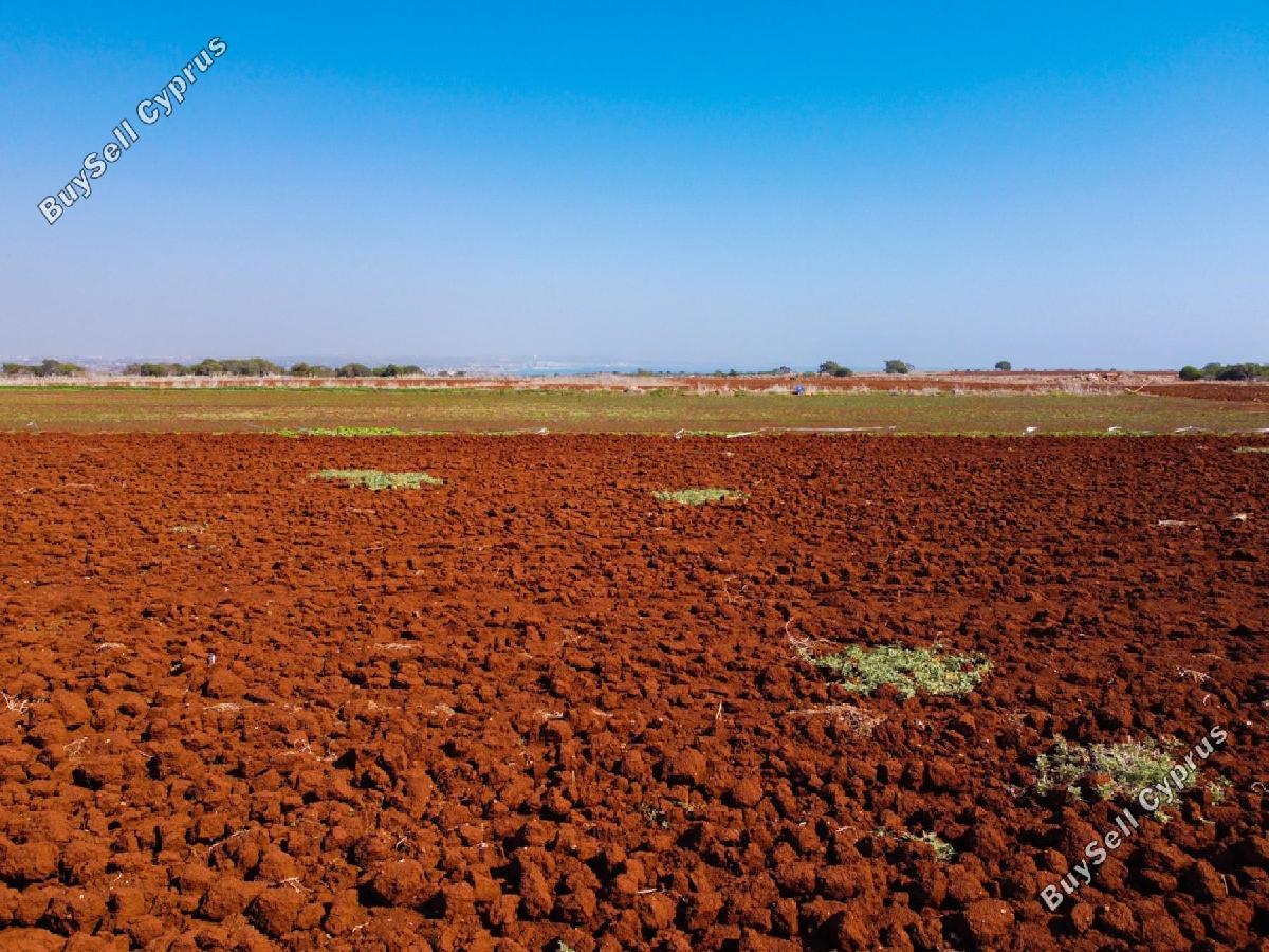 land for sale xylofagou larnaca 1937252 image 16518296