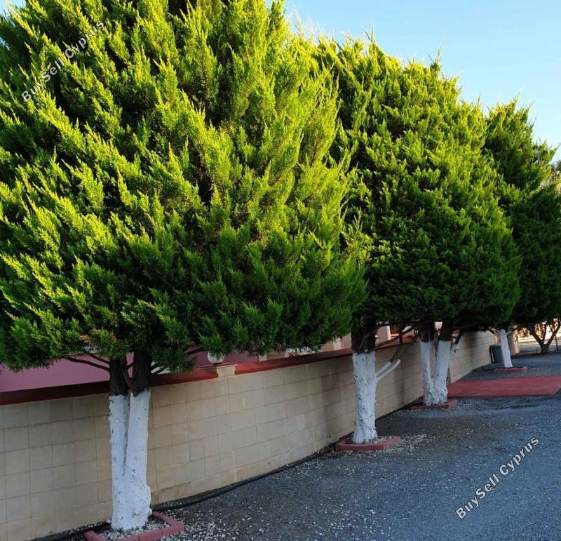 4 bedroom detached house for sale kato lakatamia nicosia 1073352 image 16246950