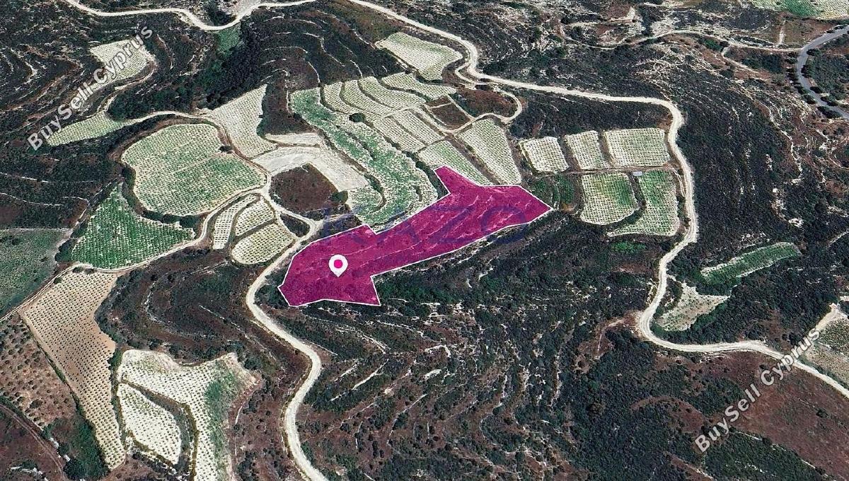 land for sale koilani limassol 1736352 image 14156067