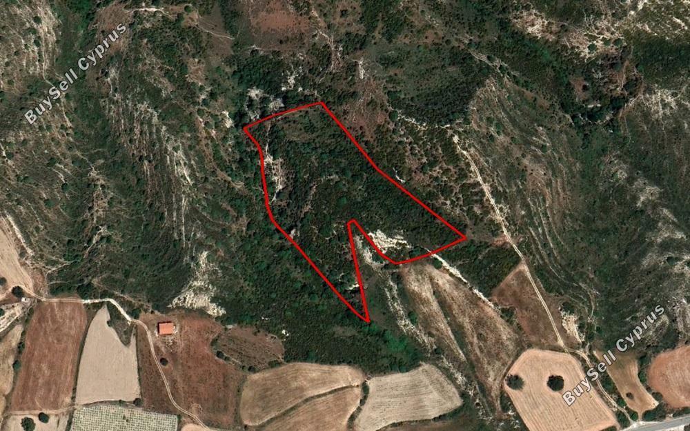 land for sale peyia paphos 966352 image 2806503