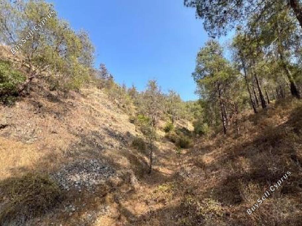 land for sale agios theodoros soleas nicosia 7868452 image 10918256