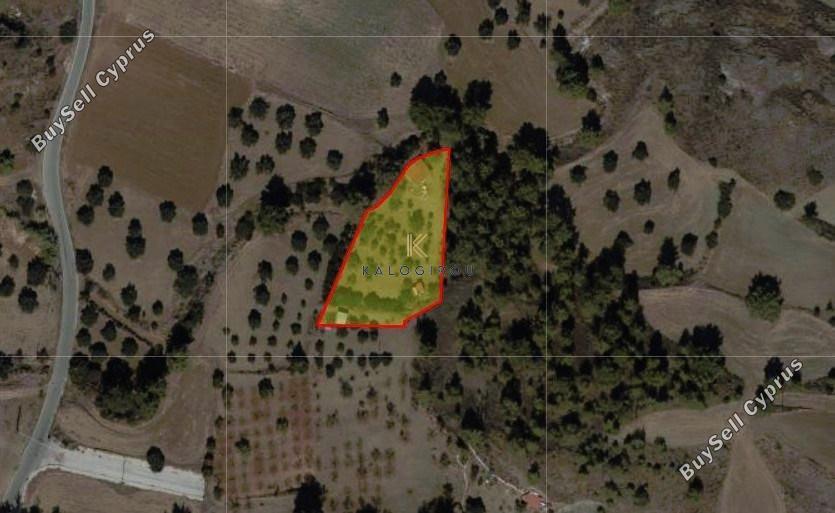 land for sale shia nicosia 1304452 image 5625790