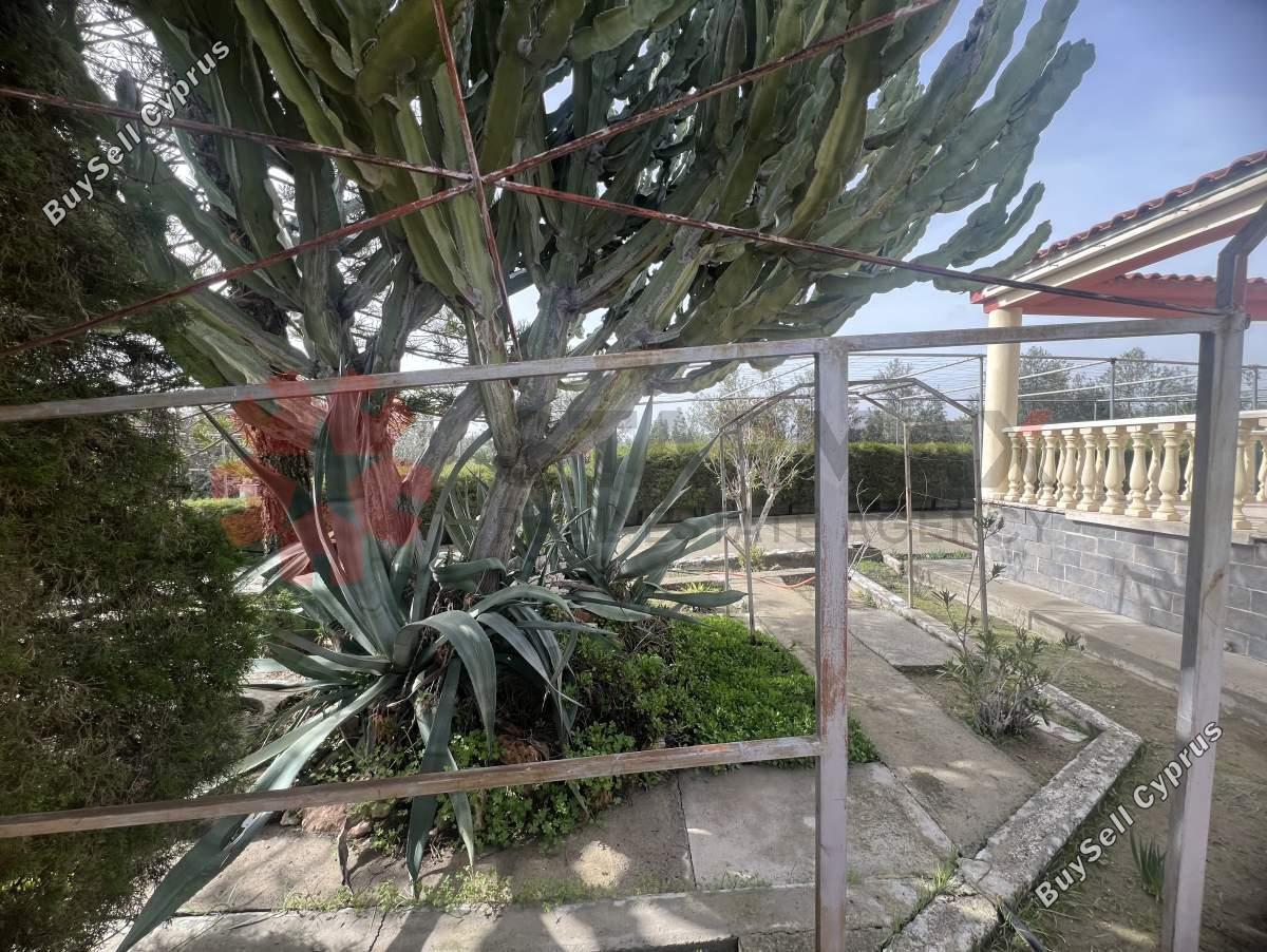 2 bedroom detached house for sale anglisides larnaca 8151552 image 13552595