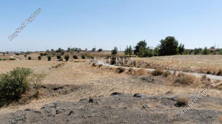 land for sale klirou nicosia 1340552 image 16738510