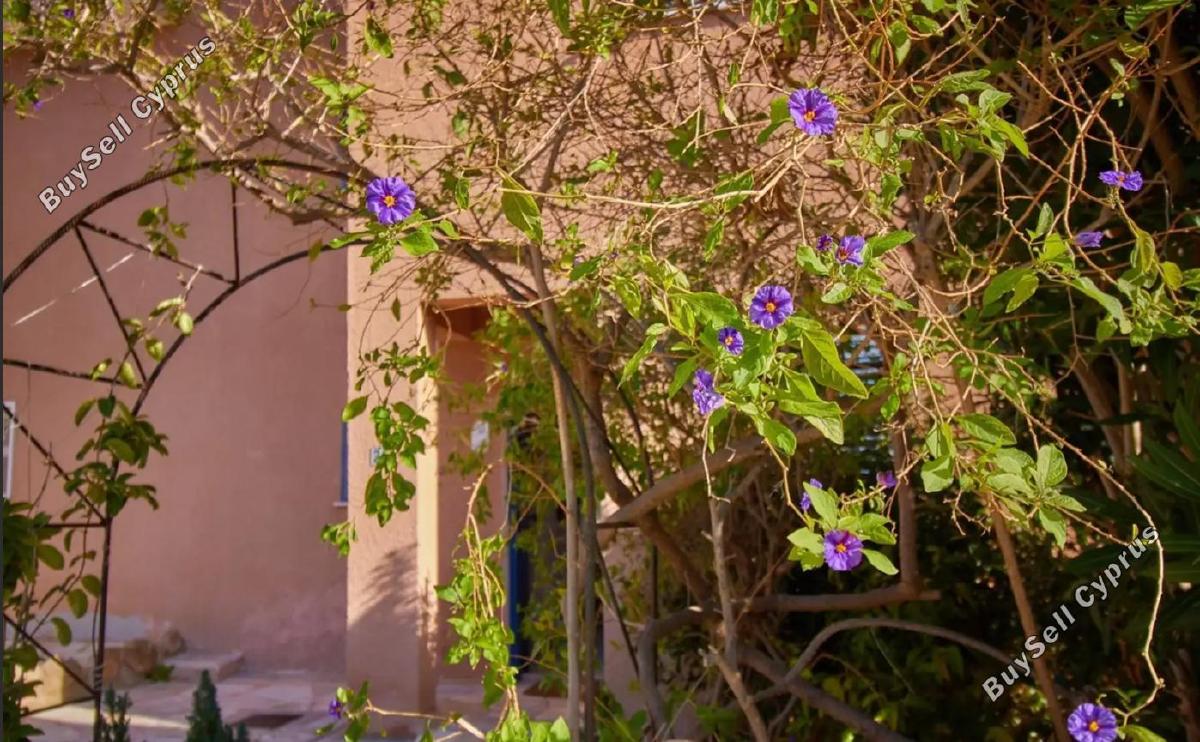 3 bedroom semi detached house for sale kato paphos paphos 7643652 image 12728674