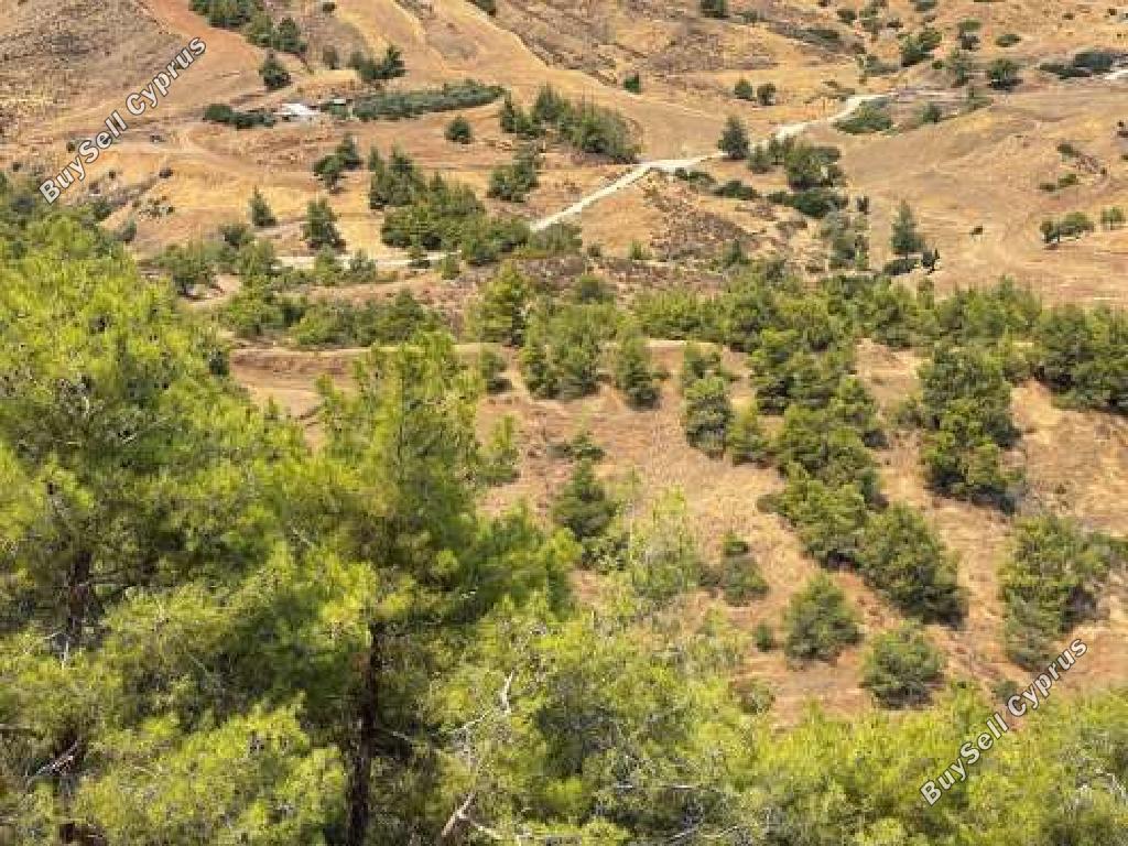 land for sale pano pyrgos nicosia 945652 image 15600567