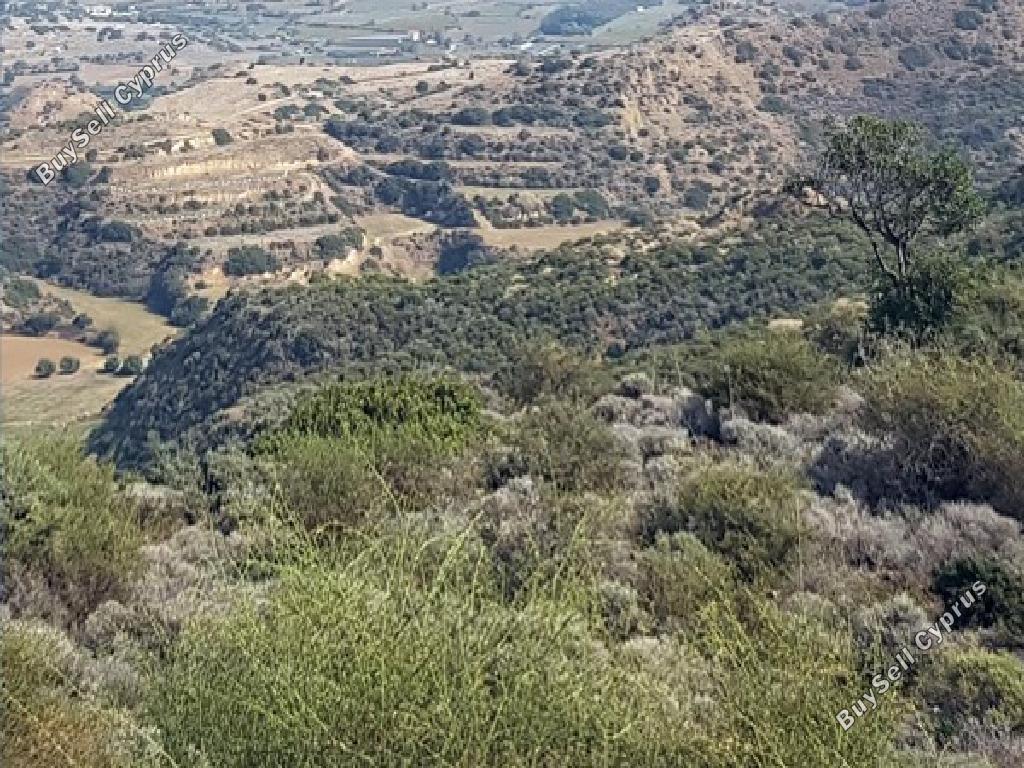 land for sale pissouri limassol 1638652 image 17397048