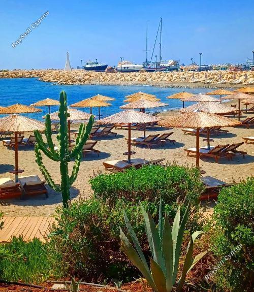 3 bedroom detached house for rent zygi larnaca 8758752 image 16528528