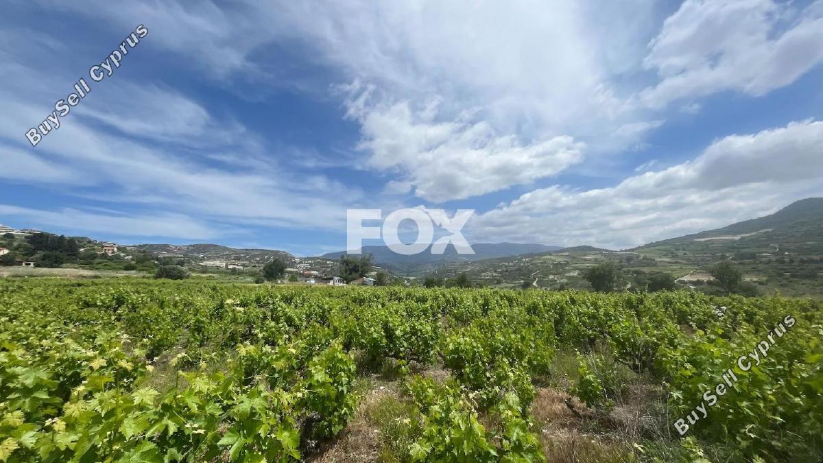 land for sale omodos limassol 1810752 image 6583516