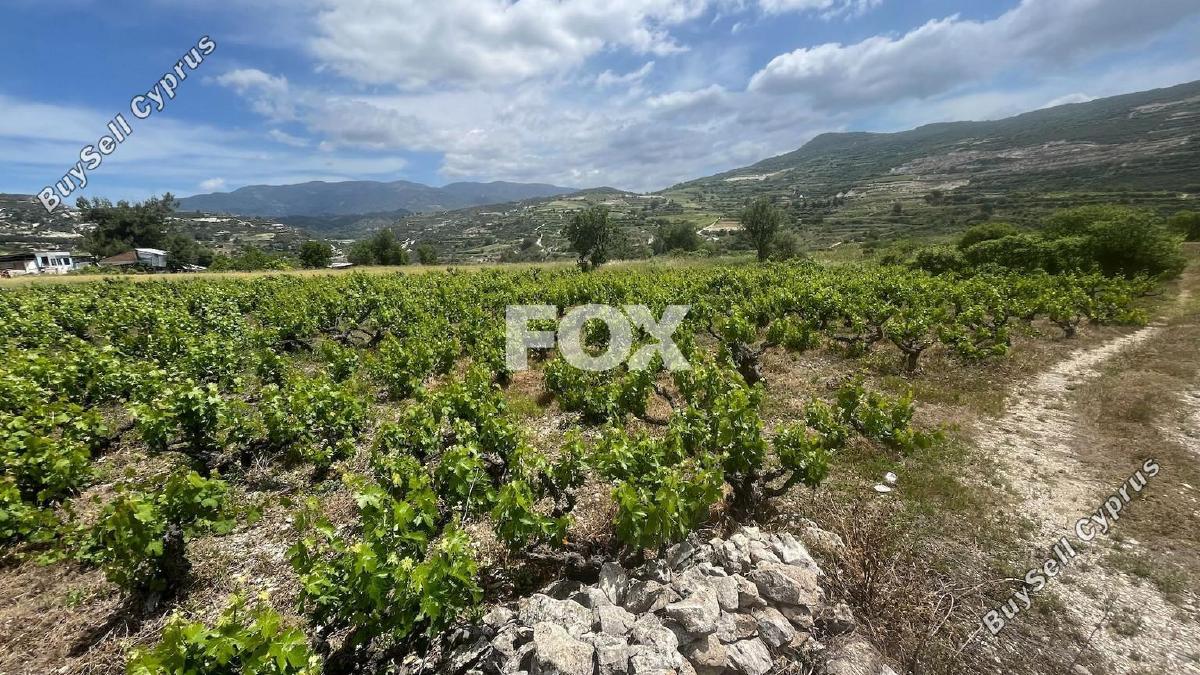 land for sale omodos limassol 1810752 image 6583517