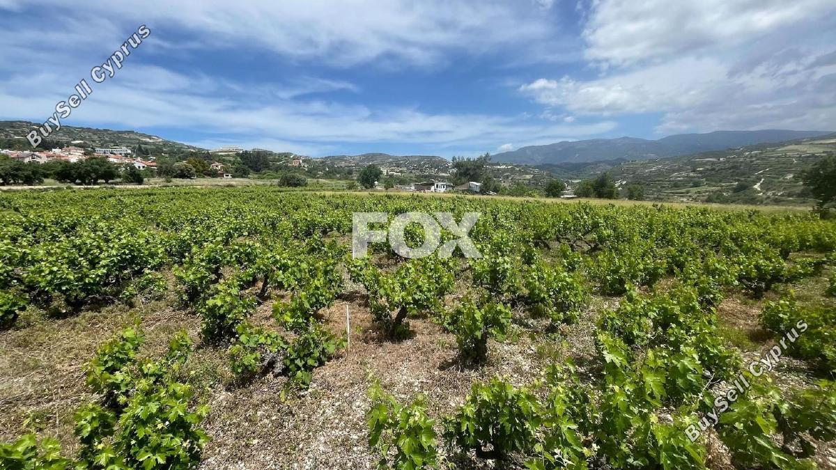 land for sale omodos limassol 1810752 image 6583518
