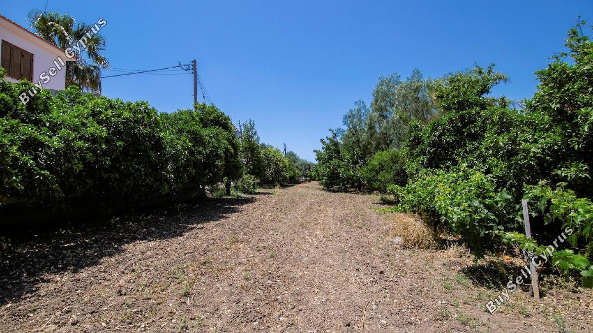 3 bedroom detached house for sale kiti larnaca 8680852 image 16088200