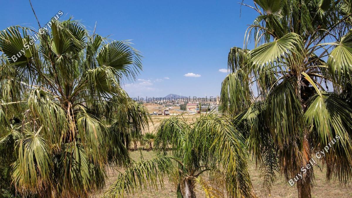 3 bedroom detached house for sale kiti larnaca 8680852 image 16088221