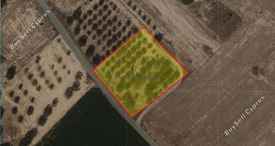 land for sale mazotos larnaca 1593852 image 5701813