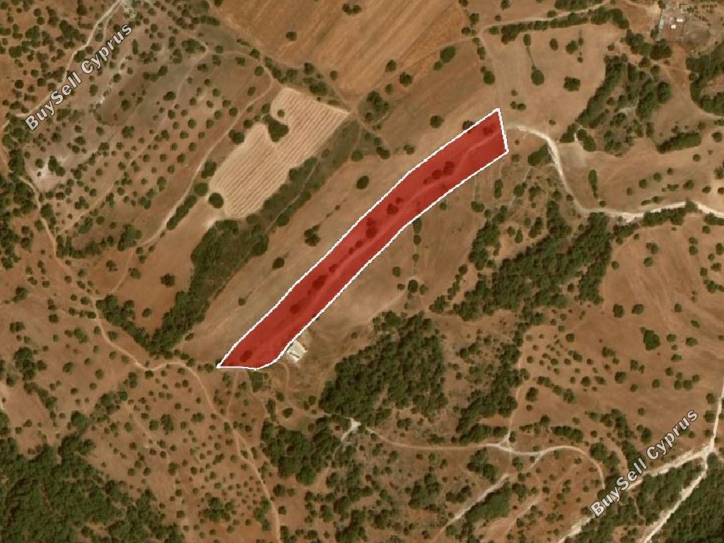 land for sale neo chorio paphos 945852 image 15599725