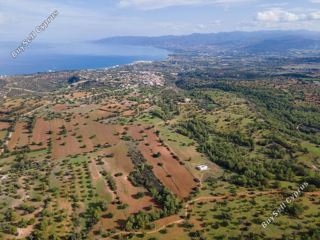 land for sale neo chorio paphos 945852 image 15599726