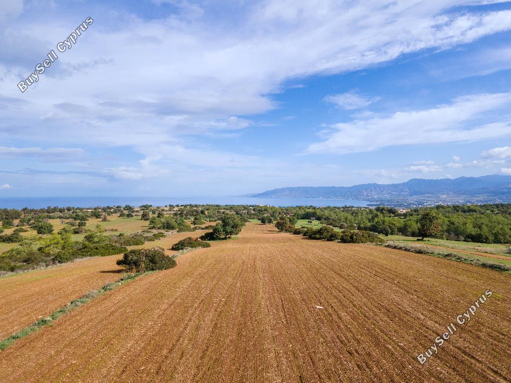 land for sale neo chorio paphos 945852 image 15599727