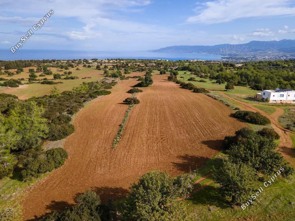 land for sale neo chorio paphos 945852 image 15599728