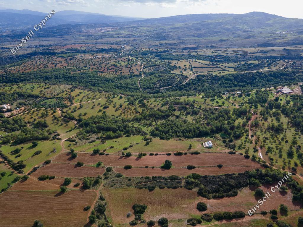 land for sale neo chorio paphos 945852 image 15599730