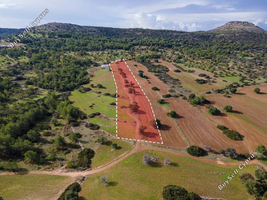 land for sale neo chorio paphos 945852 image 15599731