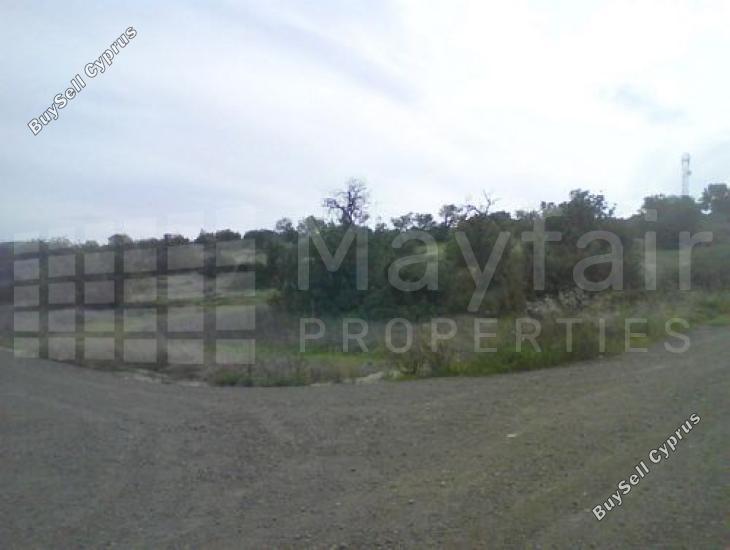 land for sale skarinou larnaca 7873852 image 11395633