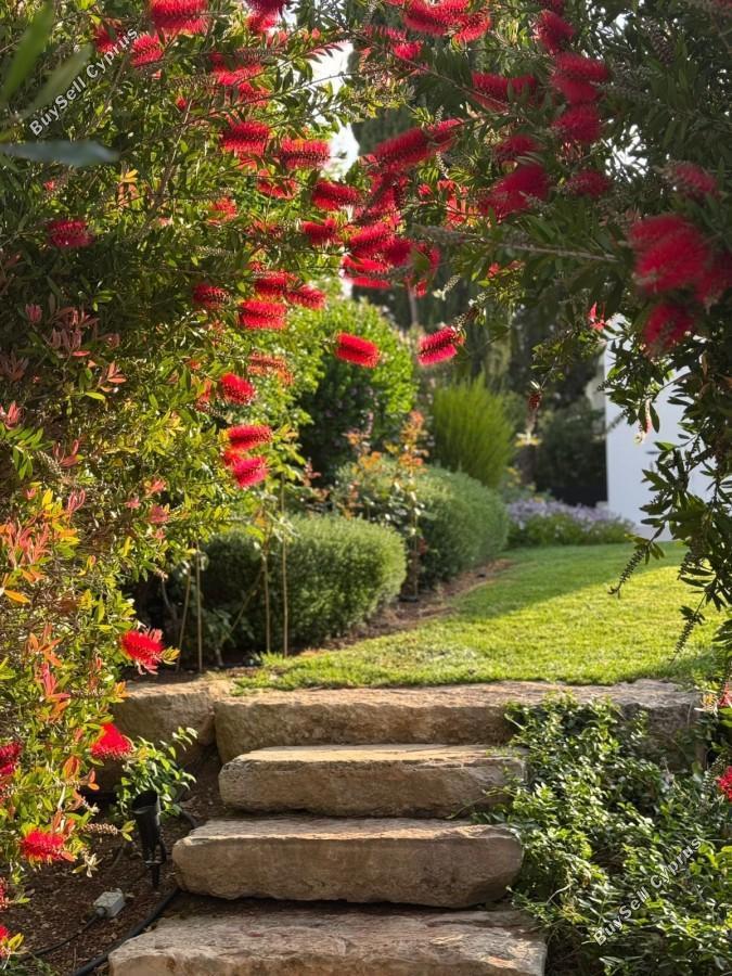 4 bedroom detached house for sale aphrodite hills paphos 8374952 image 14606350