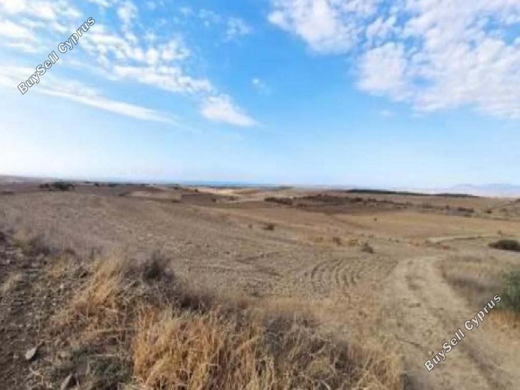 land for sale kato koutrafas nicosia 945952 image 7641427
