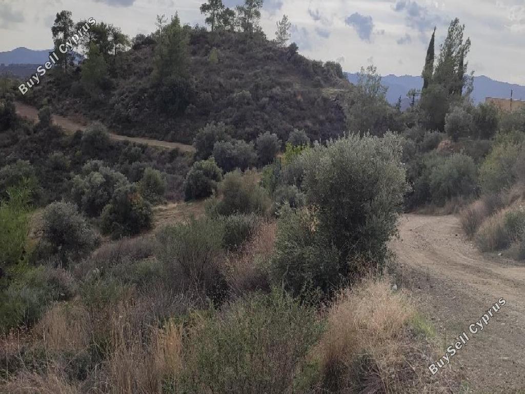 land for sale lageia larnaca 992952 image 14882487