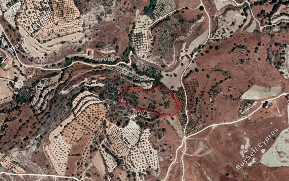 13044 SQM Land for sale in Armou, Paphos 16210328
