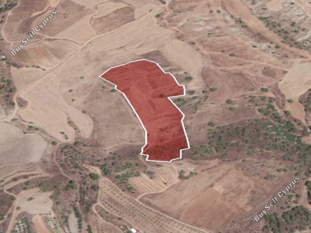 land for sale nikitari nicosia 946062 image 6463030