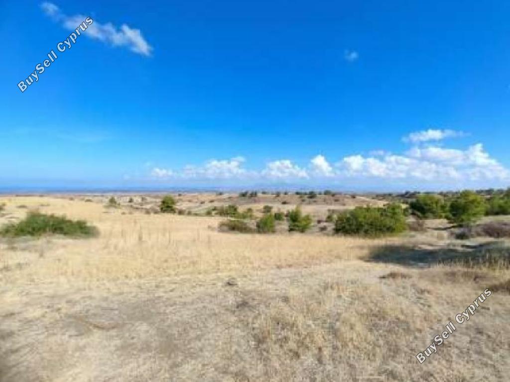 land for sale nikitari nicosia 946062 image 6463032