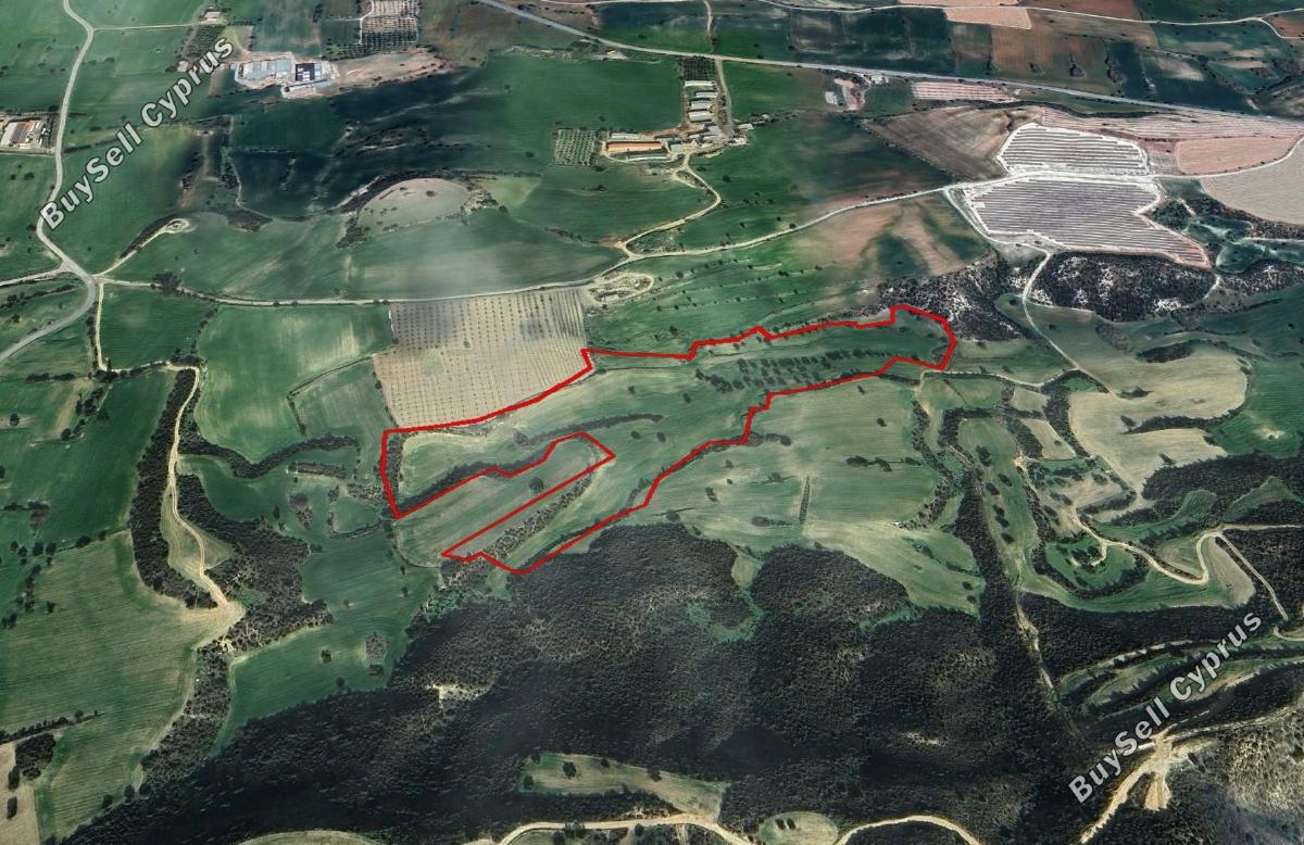 55854 SQM Land for sale in Kofinou, Larnaca 13133156