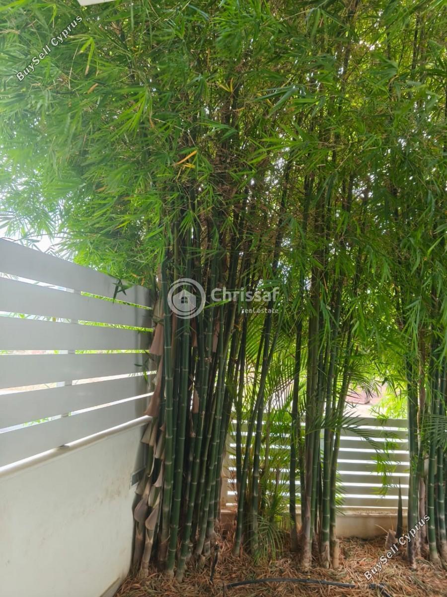 4 bedroom detached house for sale linopetra limassol 7568162 image 15149708