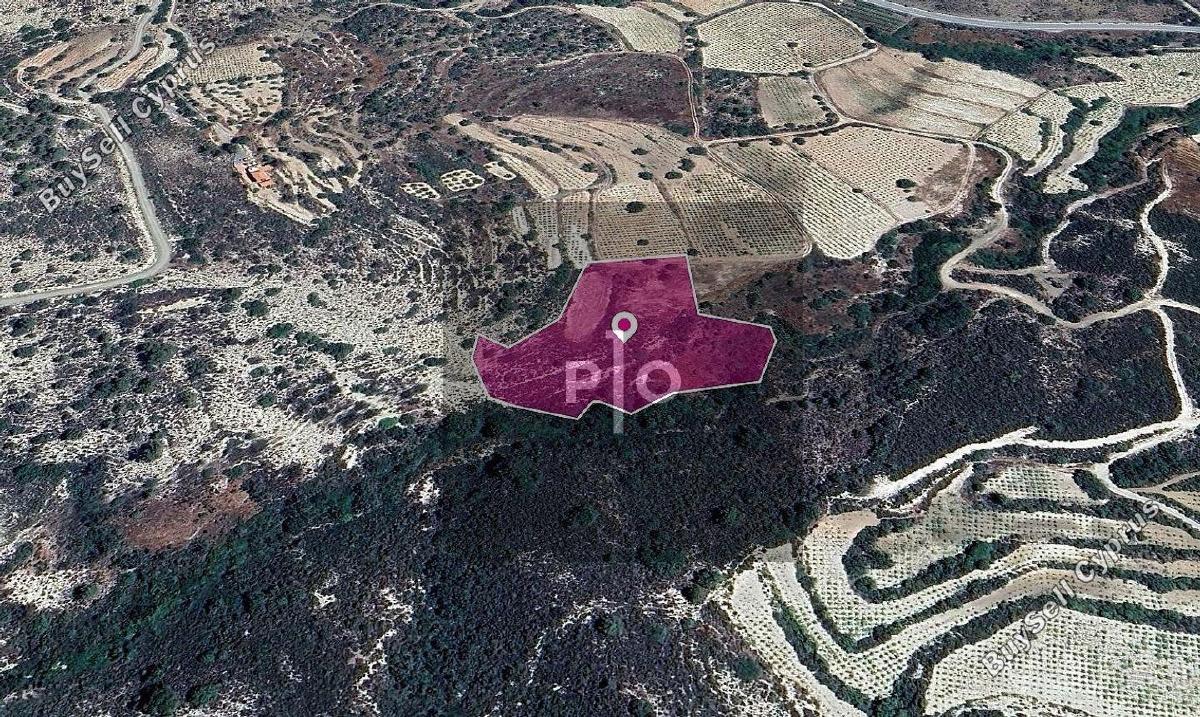 land for sale agios mamas limassol 8275162 image 15158037