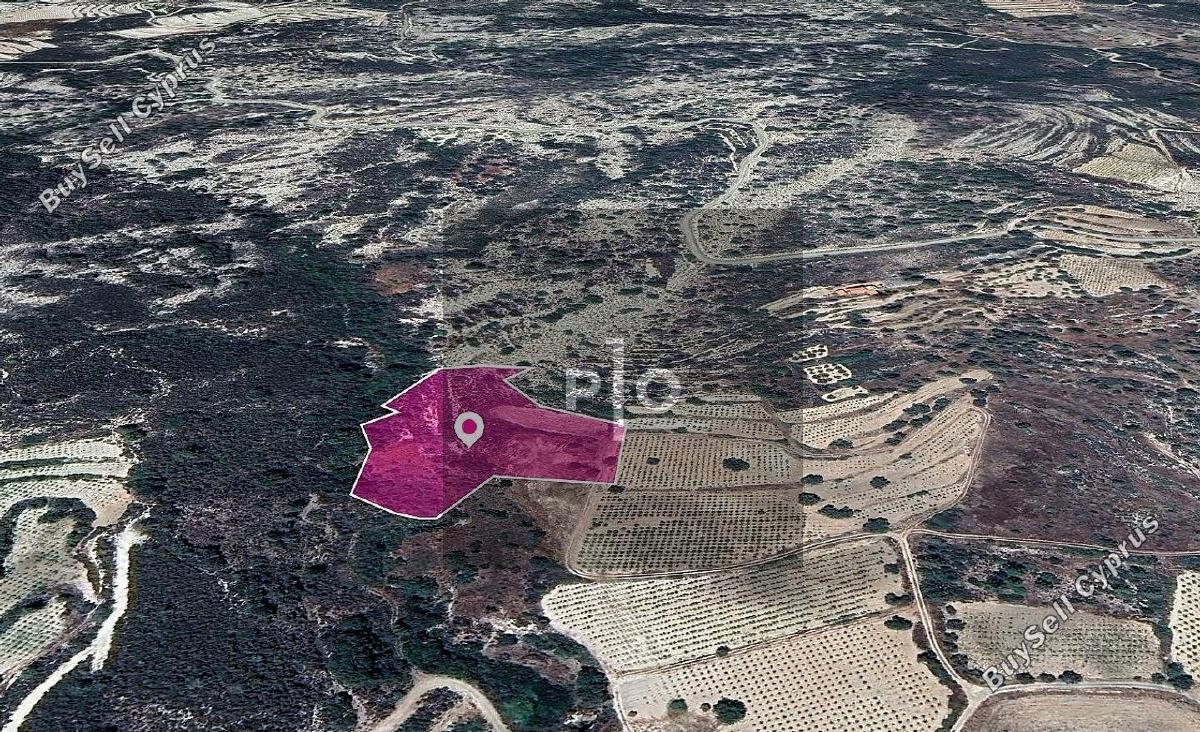 land for sale agios mamas limassol 8275162 image 15158039