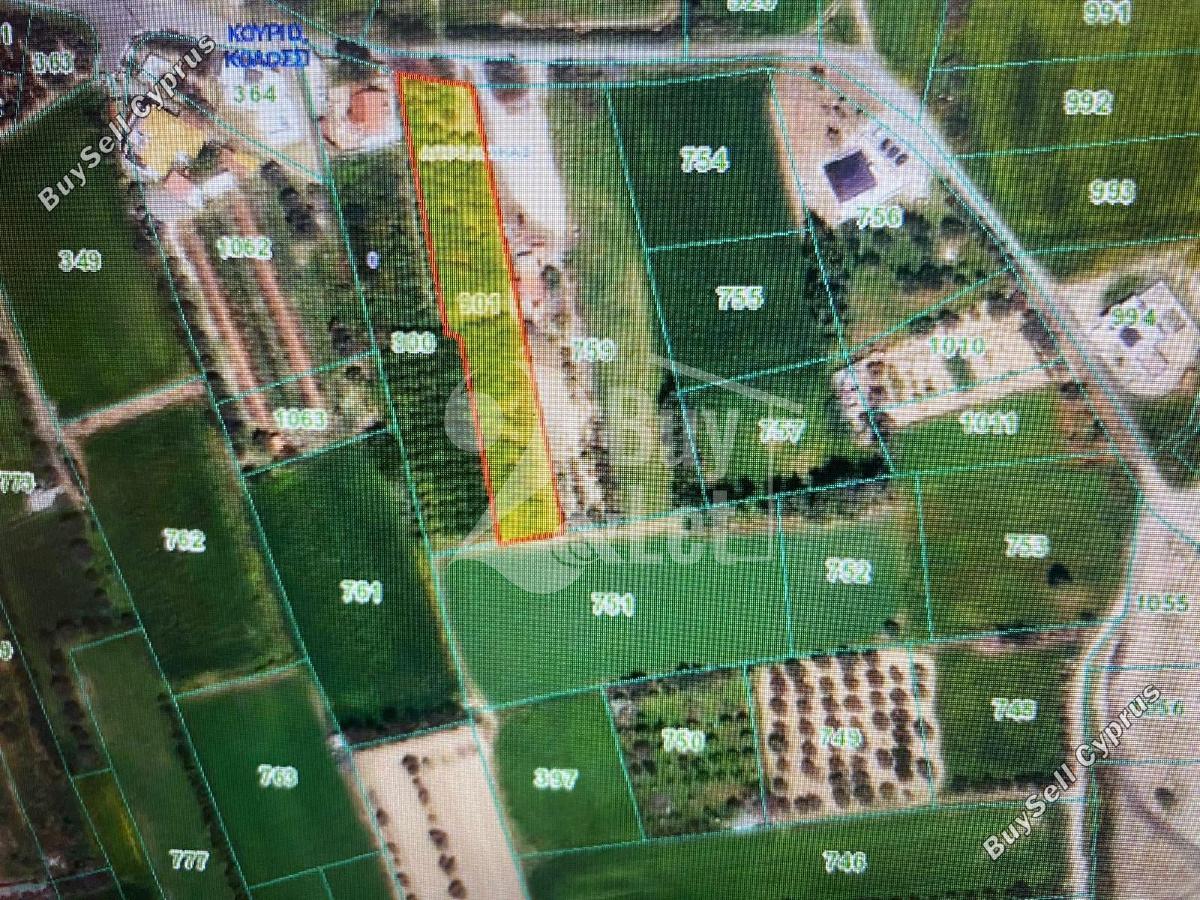 land for sale kolossi limassol 7958162 image 11523411