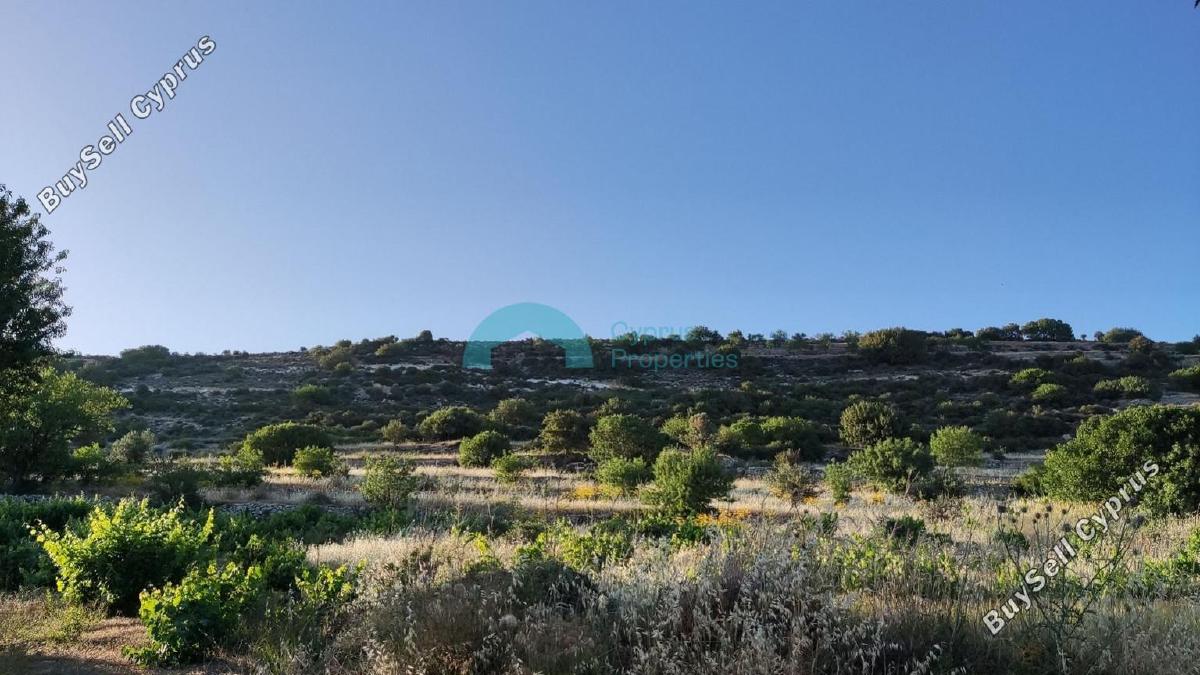 land for sale pachna limassol 922162 image 5414238