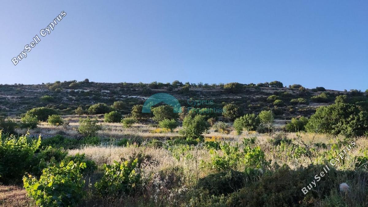 land for sale pachna limassol 922162 image 5414239