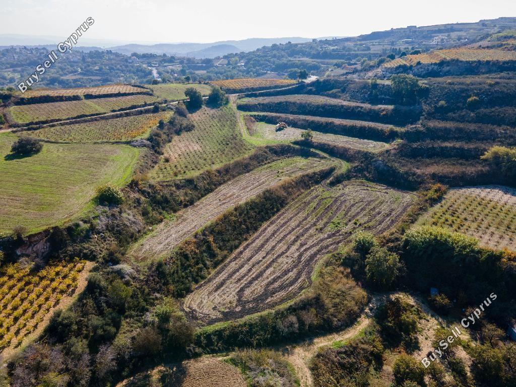 land for sale stroumbi paphos 8532162 image 16306224