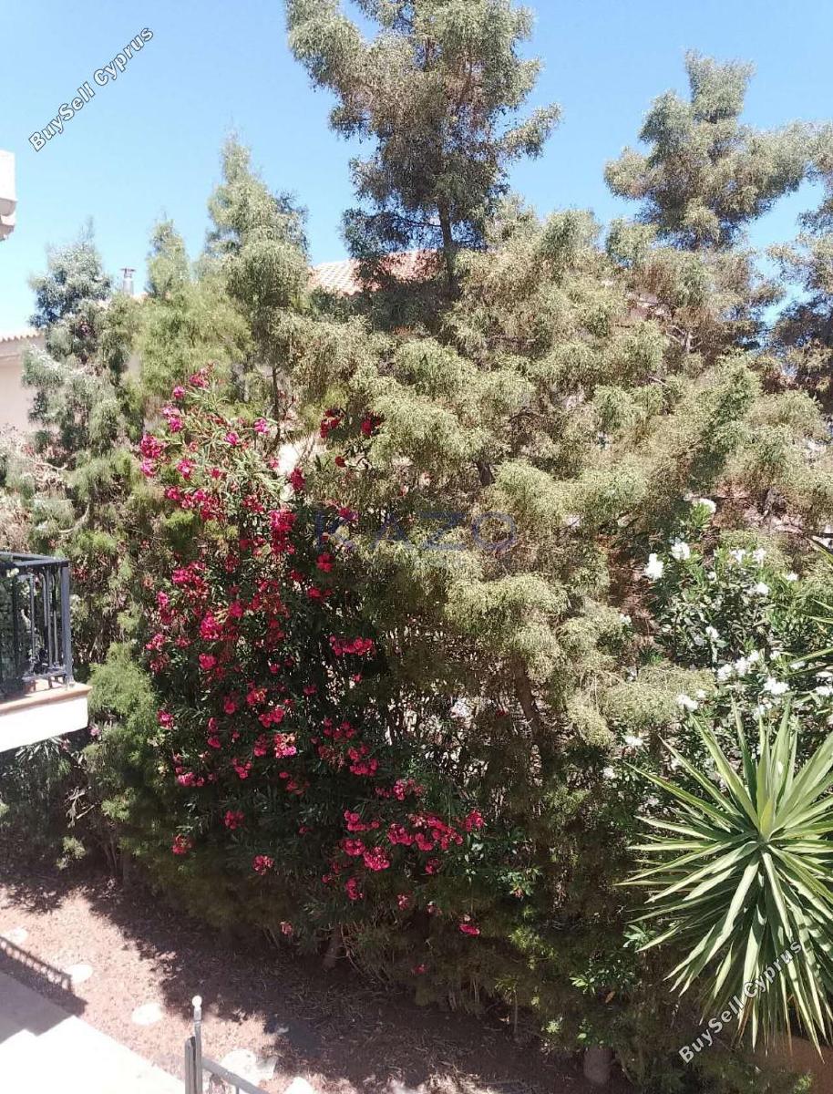 4 bedroom detached house for sale kalogiroi limassol 1940262 image 7690013