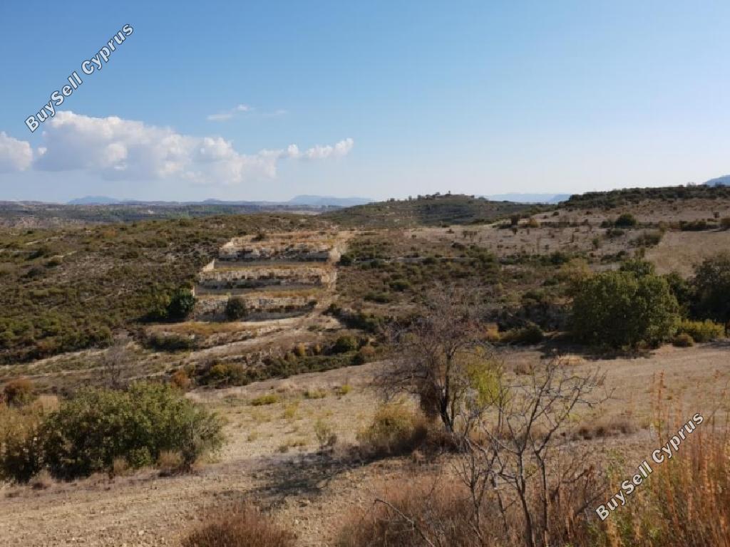 land for sale agios therapon limassol 1230262 image 15602612