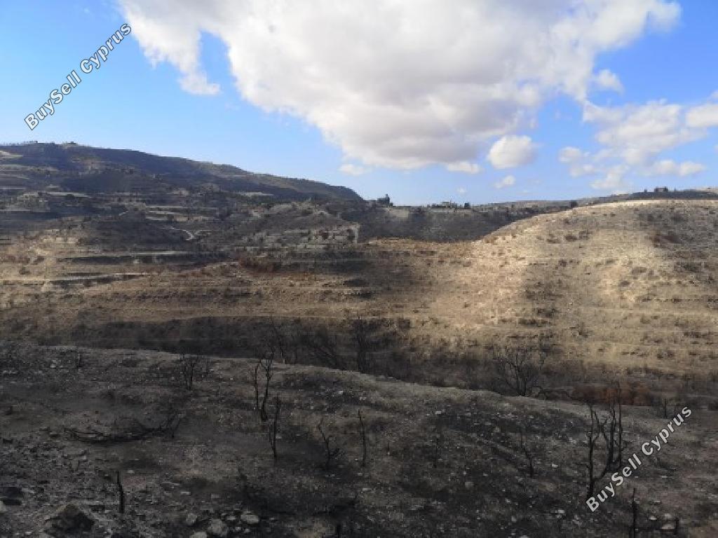 land for sale agios therapon limassol 1230262 image 18388034